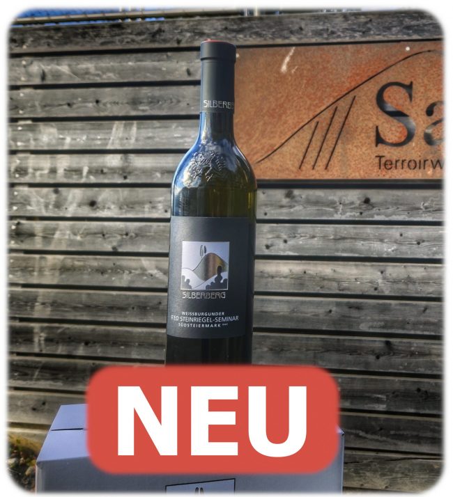 Steinriegel-Seminar_neu
